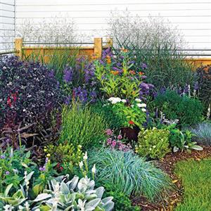 Top Seller in Gardening