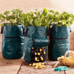 Planters Packs