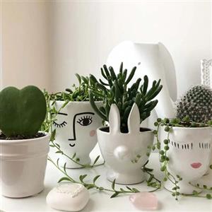 Indoor Plant Planters