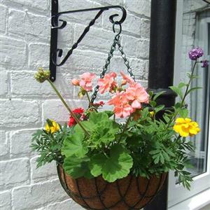Hanging Planter Brackets