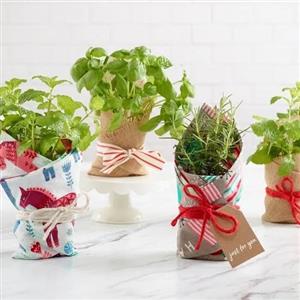 Top Seller Gifts