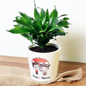 Air Purifier Gifts