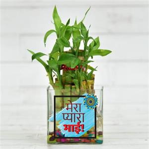 Gift for Brother/Sister