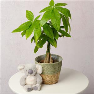 Gifts for Parents