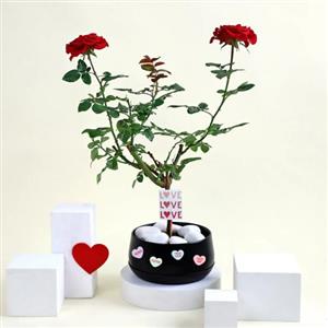 Gift for Your Love