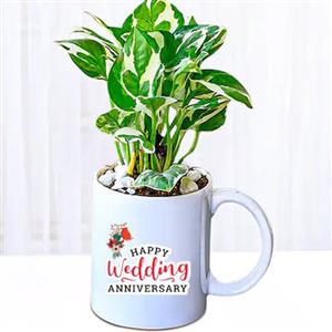 Anniversary Gifts