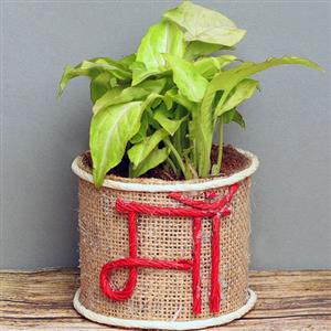 Mother`s Day Gift
