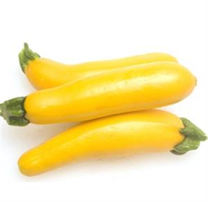 Top Seller Seeds