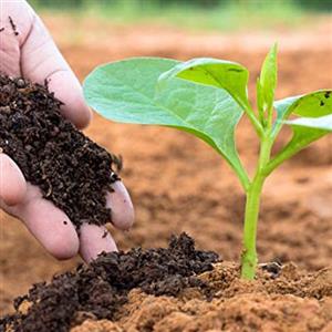 Top Seller Soil And Fertilizer