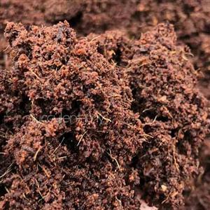 Cocopeat