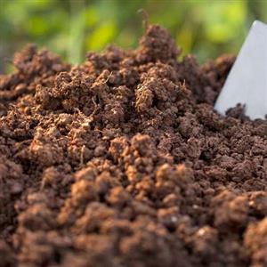 Soil Additives