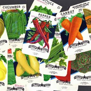 Exotic Vegetable Seeds