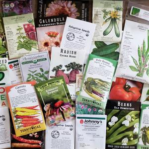 Indian Vegetable Seeds