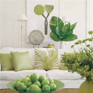 Living Room Plant