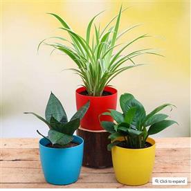 TOP 3 AIR PURIFIER 