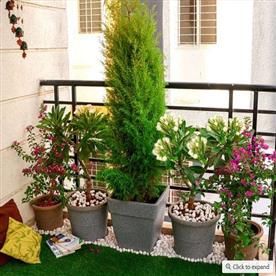 SMALL APARTMENT SUNNY BALCONY GARDEN  