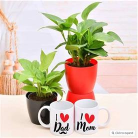 GREET YOUR MOM DAD WITH GREEN GARDEN AND MUGS 