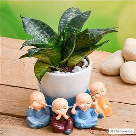WISH HAPPINESS WITH SUPER SANSEVIERIA IN A CERAMIC POT AND CUTE MONKS 