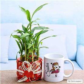 2 LAYER LUCKY BAMBOO WITH CHOCOLATE FOR SWEET SISTER 