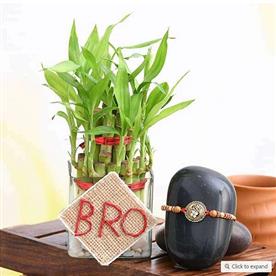 RAKSHABANDHAN SPECIAL 2 LAYER LUCKY BAMBOO AND DESIGNER RAKHI FOR BROTHER 