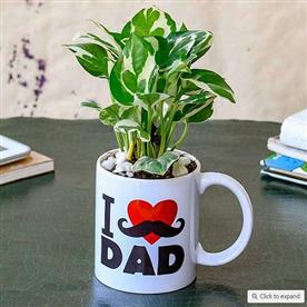 REFRESHING MONEY PLANT IN I LOVE DAD MUG FOR WORKAHOLIC DAD 