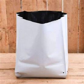 6.3 INCH (16 CM) SQUARE GROW BAG (WHITE) 
