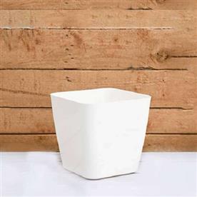 5.5 INCH (14 CM) SQUARE PLASTIC PLANTER WITH ROUNDED EDGES (WHITE)    