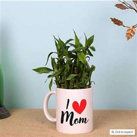 2 LAYER LUCKY BAMBOO IN I LOVE MOM MUG 