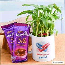 BEST WISHES FOR BEST BUDDY WITH 2 LAYER LUCKY BAMBOO AND CHOCOLATES 