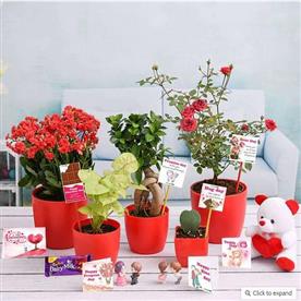 VALENTINE WEEK GIFT COMBO  