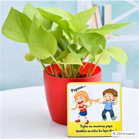 EVERGREEN MONEY PLANT FOR EVERGREEN SIBLING BOND  