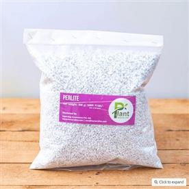 PERLITE - 500 G 