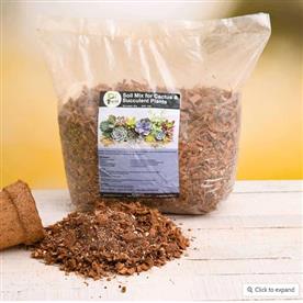 POTTING SOIL MIX FOR CACTUS AND SUCCULENT PLANTS - 3 KG  