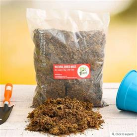 NATURAL DRIED MOSS ( 0.5 KG ) 