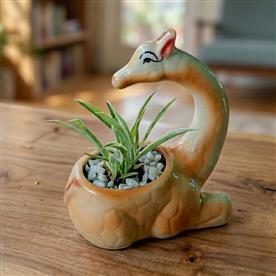 CERAMIC DEER POT WITH SPIDER PLANT  