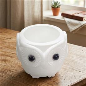 CUTE OWL SHAPED PLASTIC POT 