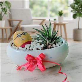 ZEBRA HAWORTHIA SUCCULENT WITH OVAL CERAMIC PLANTER  